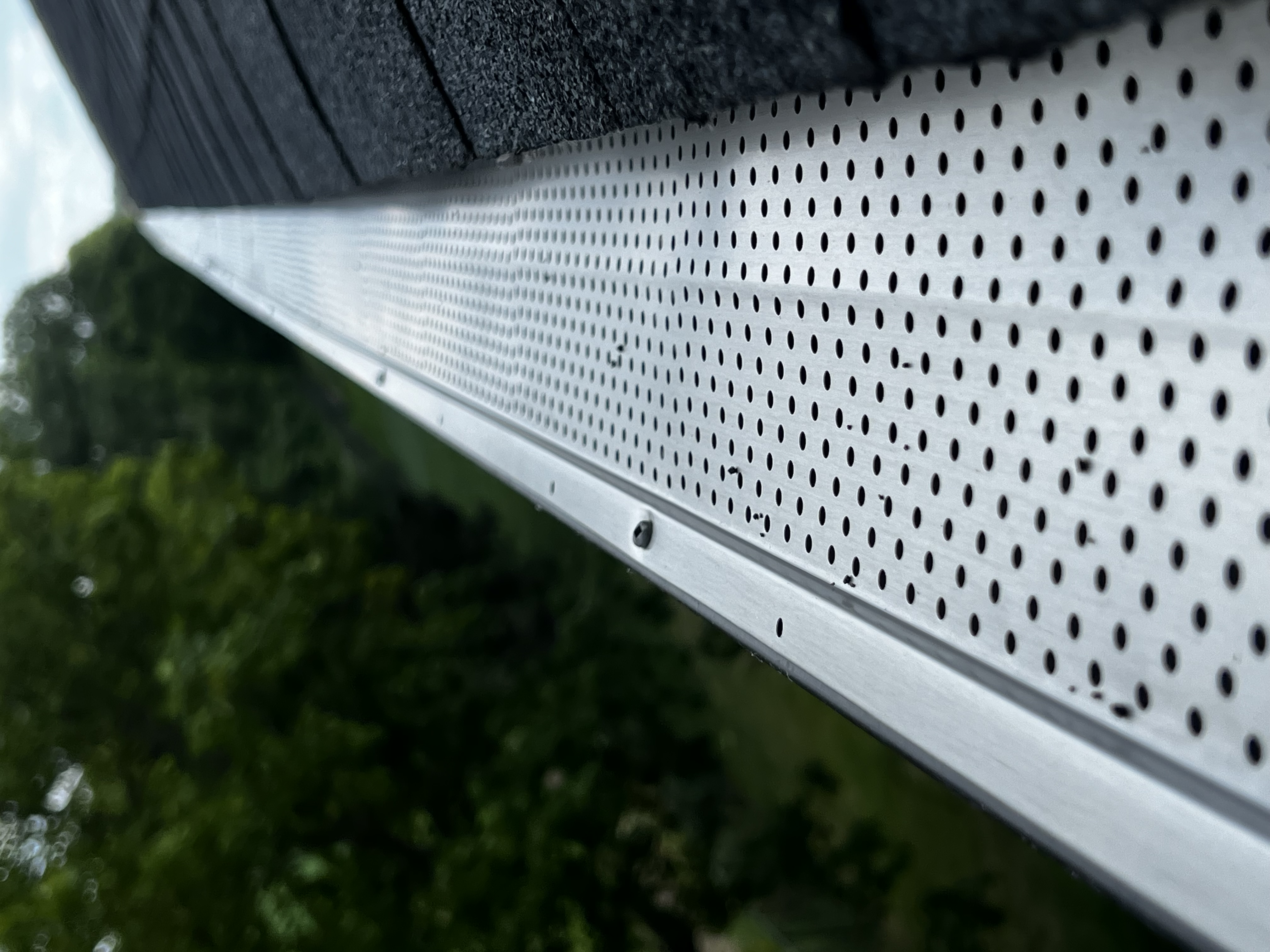 LEAF GUARD in Woodstock — after photo